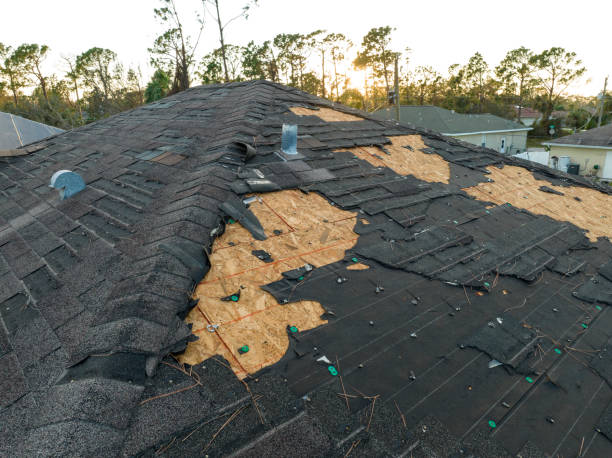 Best 4 Ply Roofing  in Zebulon, NC